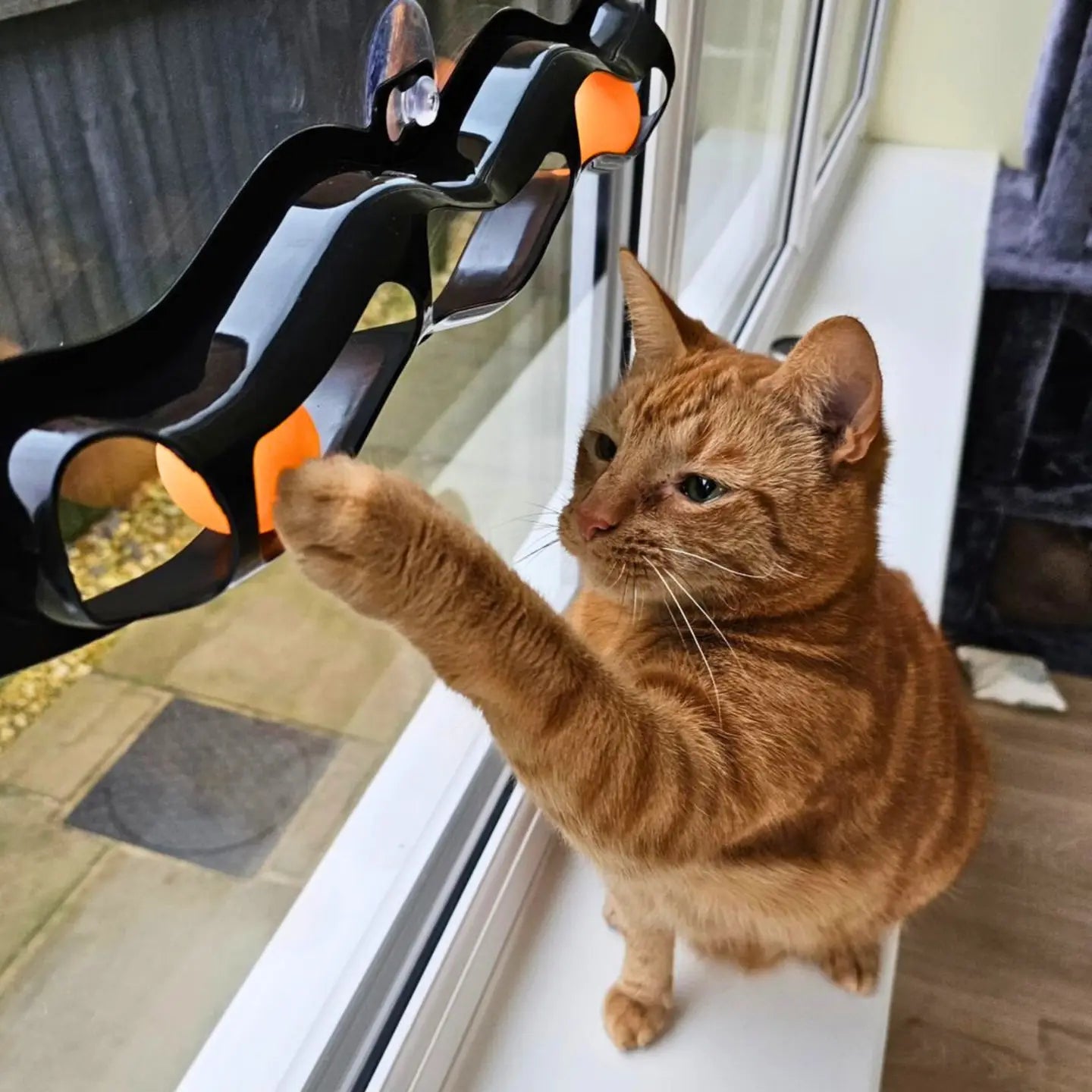 Smart Choice Interactive Window Track Cat Toy