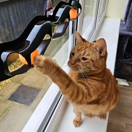 Smart Choice Interactive Window Track Cat Toy