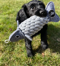 Load image into Gallery viewer, Roger the Ropefish Eco Dog Toy

