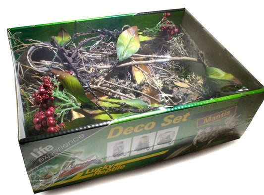 Lucky Reptile Mantis Decor Set