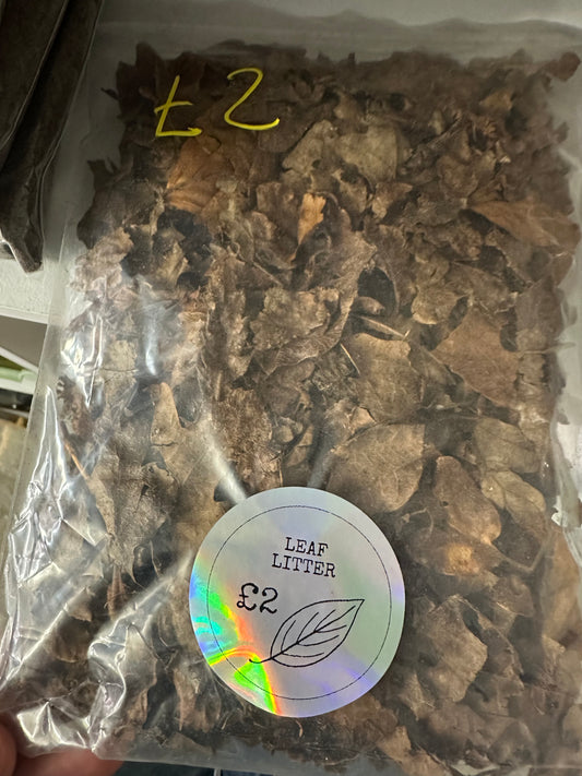 Leaf Litter Starter Bag 1L