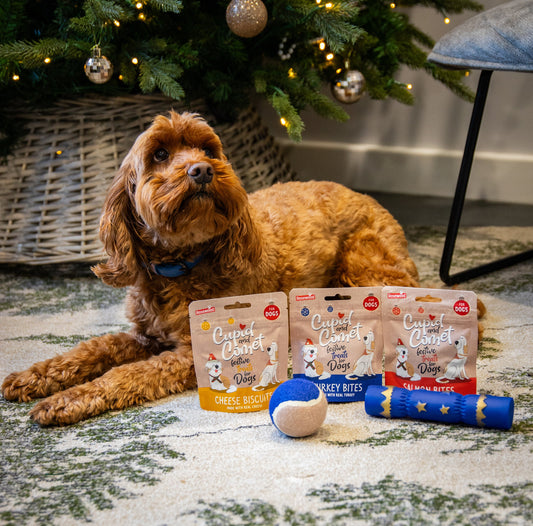 Rosewood Dog Christmas Stocking Treats and Toys
