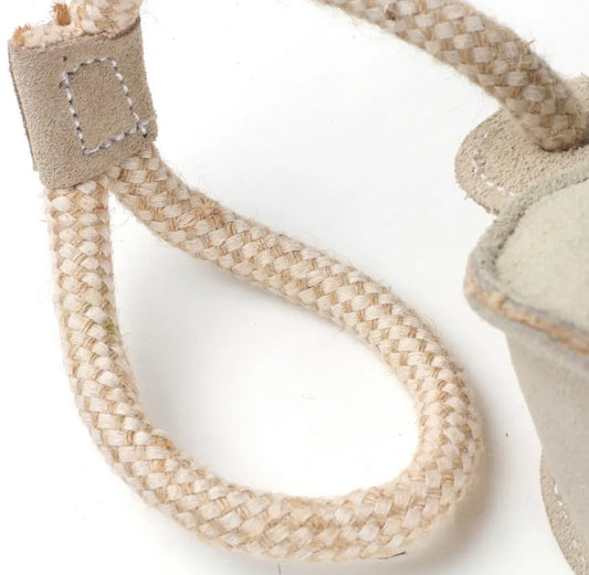 Chuck It Eco Dog Toy
