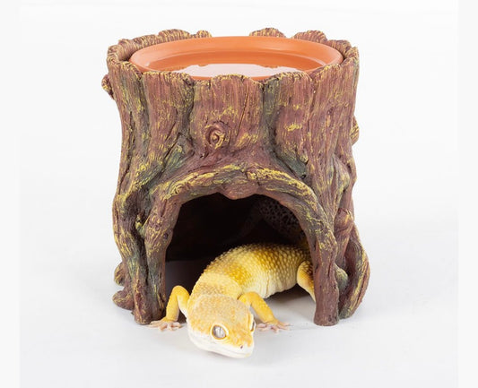 Reptizoo Resin Hide and Bowl Decor Gecko
