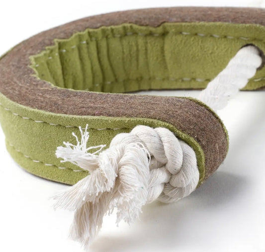 Push me Pull me Eco Dog Toy