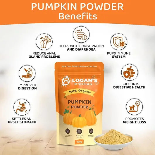 Pumpkin Powder Dog Supplement