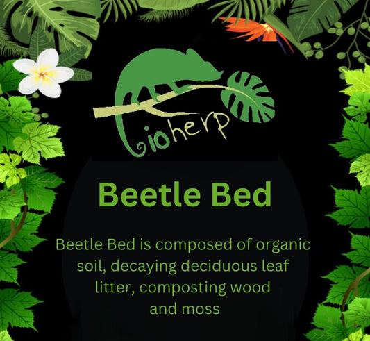 4 Litre Beetle Bedding Millipede Soil Bag Substrate