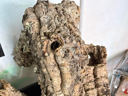 Cork Bark Tubes Bulk Amounts Bundles 1kg or 5kg Options Enrichment Reptiles Inverts Small Animals Natural