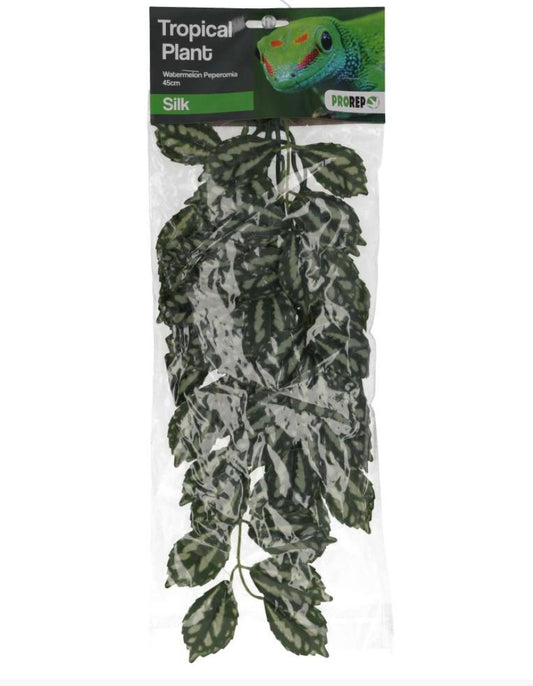 Pro Rep Silk Hanging Plant Watermelon Peperomia 45cm