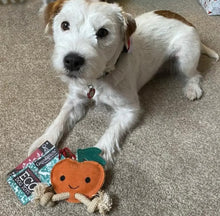 Load image into Gallery viewer, Sancho the Satsuma Eco Dog Toy
