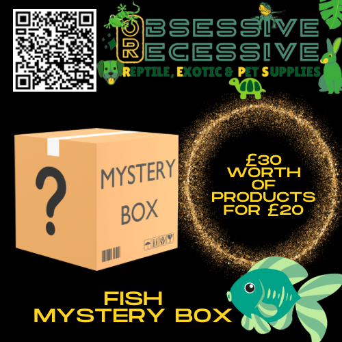 Fish/Aquarium Mystery Box