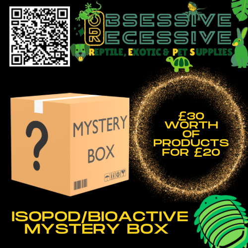 Isopod/ Bioactive Mystery Box