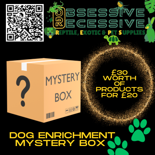Dog Enrichment Mystery Box