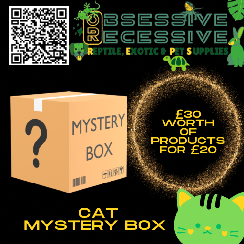 Cat Mystery Box
