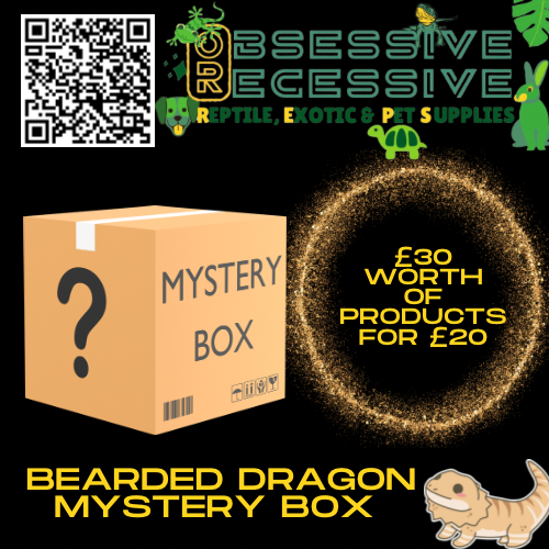 Bearded Dragon Mystery Box £30 Worth of Products for £20