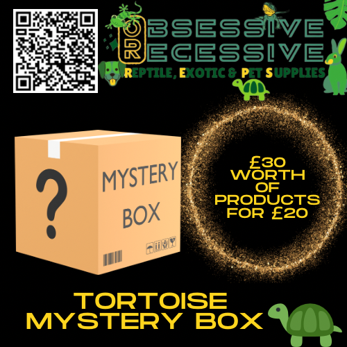 Tortoise Mystery Box £30 Worth Of Products