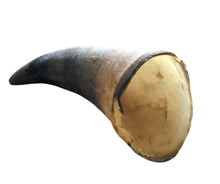 Load image into Gallery viewer, Empty Cow Horn
