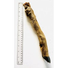 1x supplied Roe Deer Leg With Fur/Hair