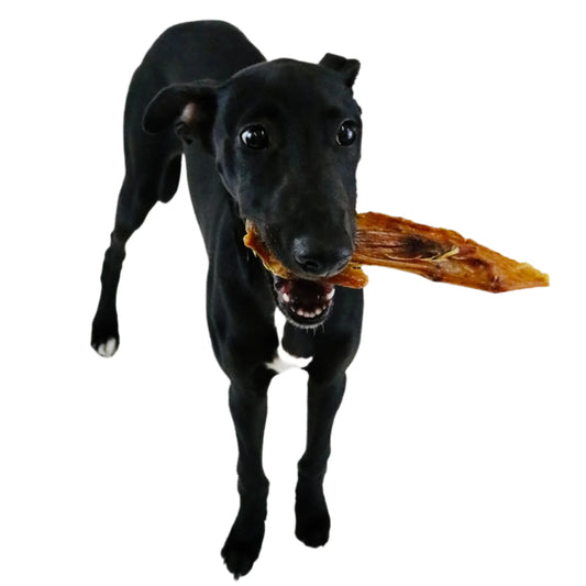 Turkey Wing Natural Dog Treat