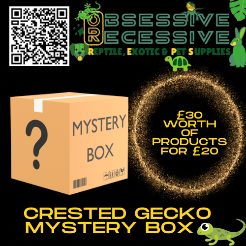 Crested Gecko Mystery £30 Worth of Products