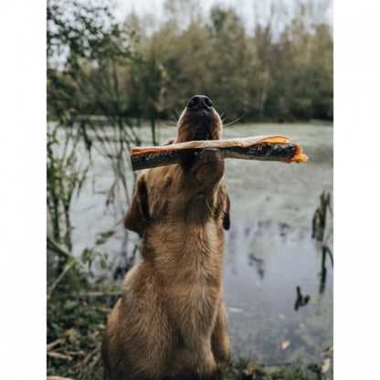 Salmon Skin Roll Natural Dog Treat Chew Omega 3 & 6 Coat Joints Skin