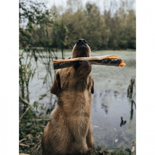 Salmon Skin Roll Natural Dog Treat Chew Omega 3 & 6 Coat Joints Skin