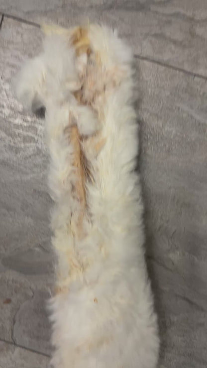 XL Rabbit Skin approx 50cm Natural Dog Treat