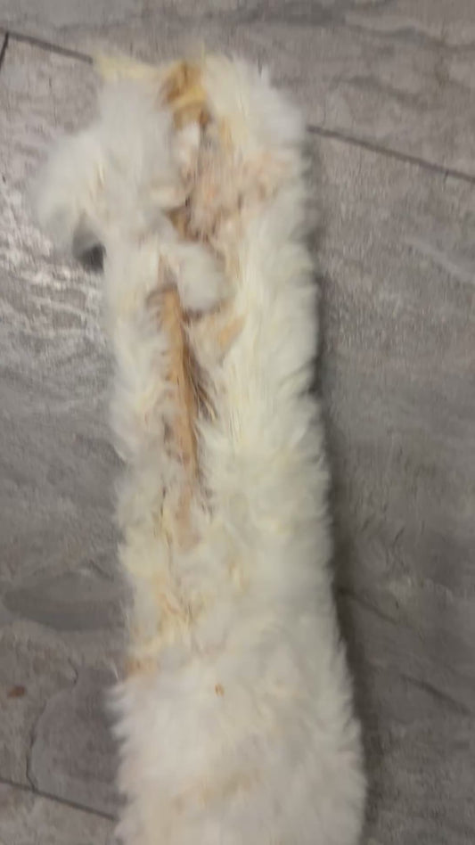 XL Rabbit Skin approx 50cm Natural Dog Treat