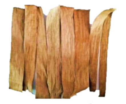 Banana Leaves 10 Pack Leaf Litter Isopods Mulch