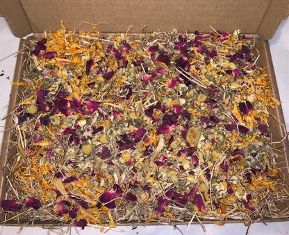 Busy Botanical Forage Box - Edible Enrichment