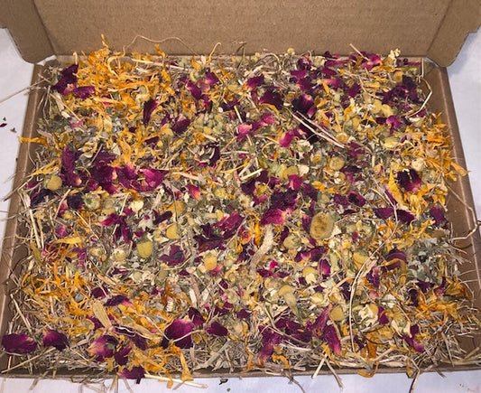 Busy Botanical Forage Box - Edible Enrichment