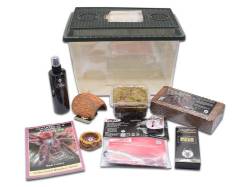 Adult Tarantula Starter Kit
