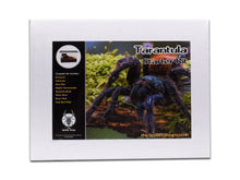 Load image into Gallery viewer, Adult Tarantula Starter Kit
