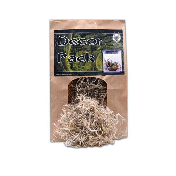 Tillandsia Moss Decor Pack