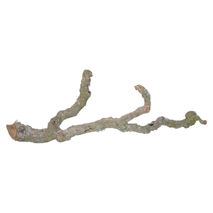 Tronchos Branches 60-90cm