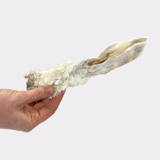Rabbit Ear With Fur Natural Dog Treat