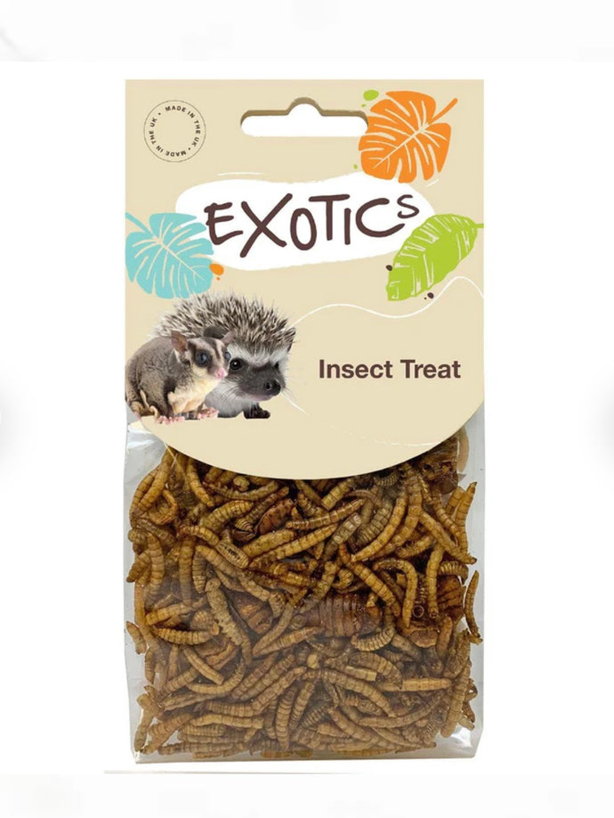 Exotics Insect Treats Dried Mealworms, Black Soldier Fly Larvae, Silkworm Larvae