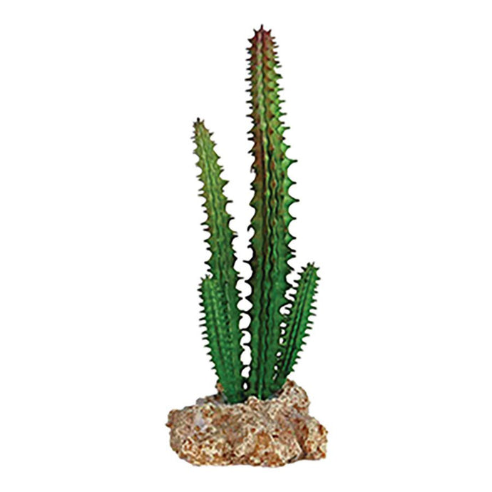 Rep Style Cactus with Rock Base 5.5 x 5 x 14cm