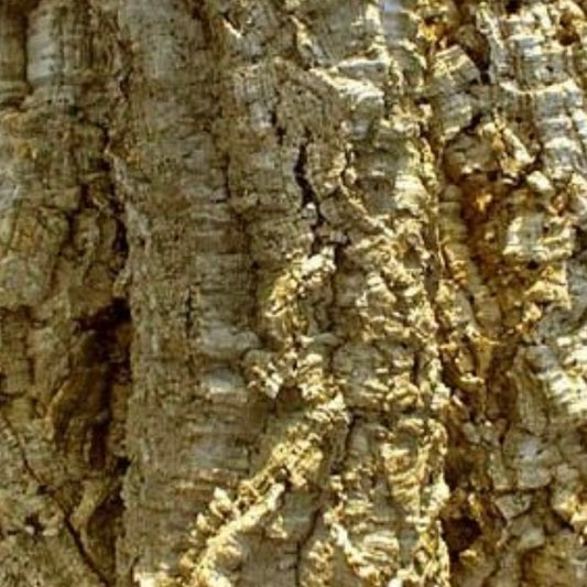 Cork Bark Pieces Bulk