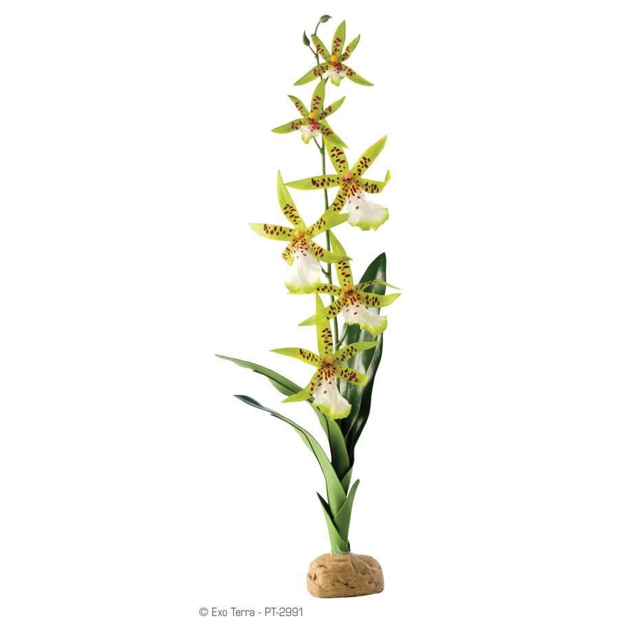 Exo Terra Spider Orchid Ornament
