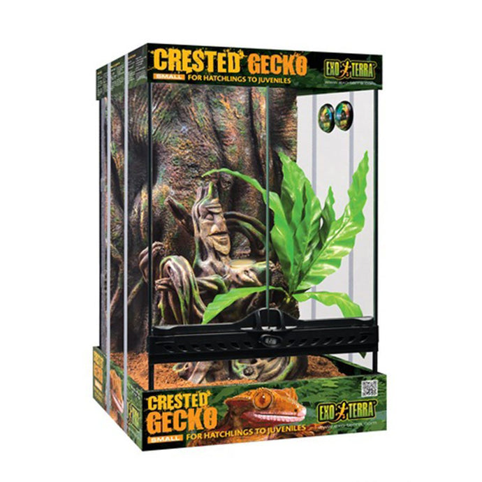 Exo Terra Starter Crested Gecko Kit Small (45cm Tall)
