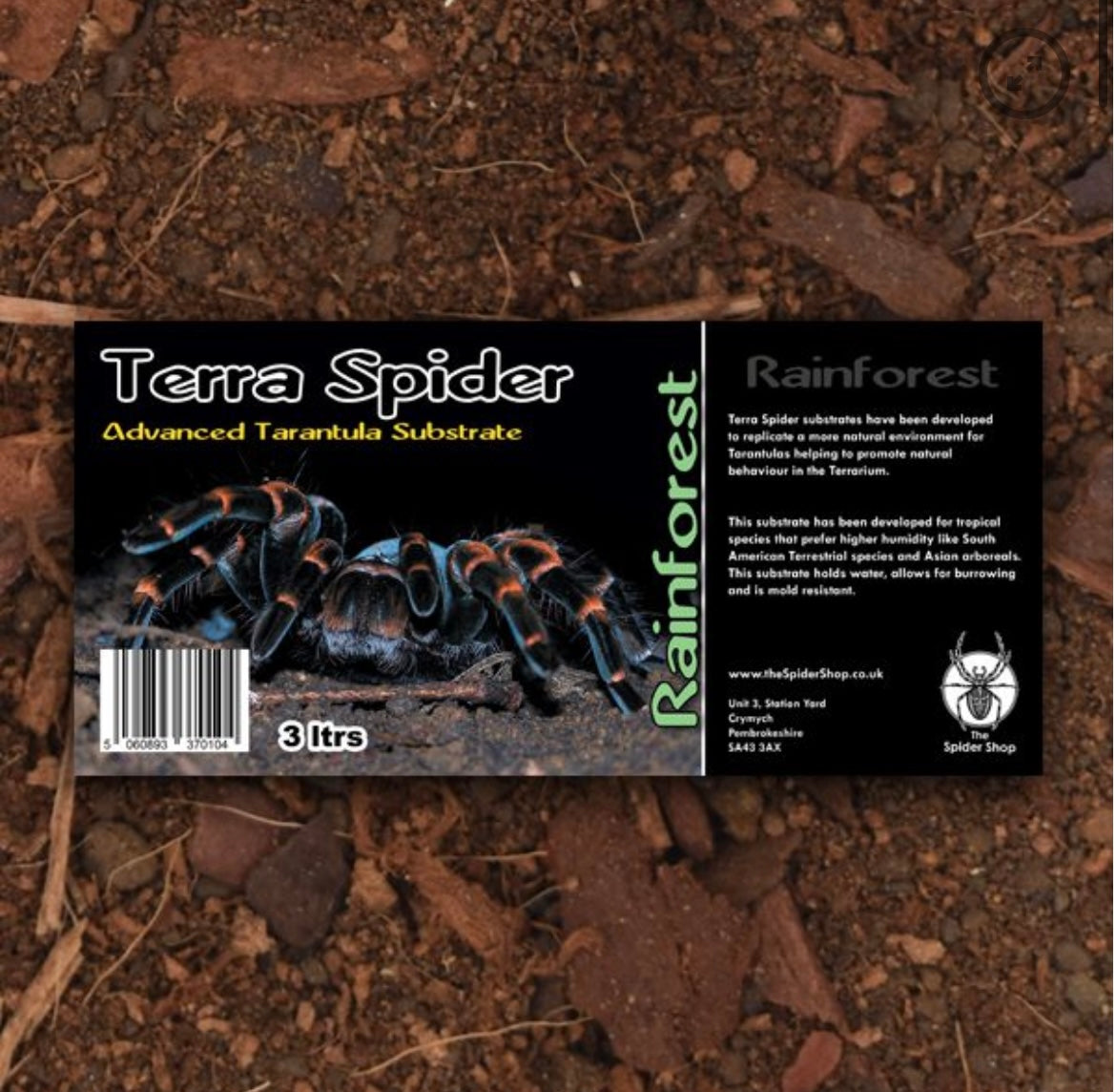 Rainforest Spider 3 Litre