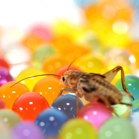 Habistat H20 Balls Multi-Coloured 500g