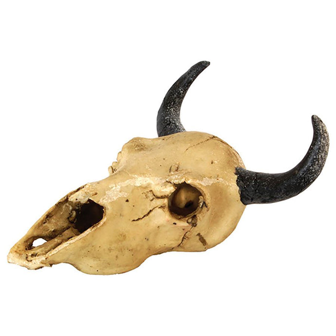 RepStyle Skull Goat 17 x 16.5 x 10cm