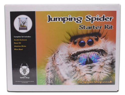 Jumping Spider Starter Kit acrylic enclosure with accessories
