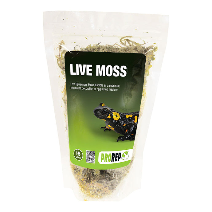 Pro Rep live Moss