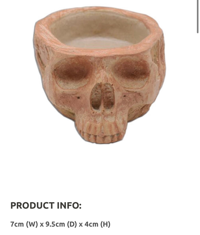 Human Skull Resin Bowl Small