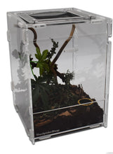 Load image into Gallery viewer, Jumping Spider Starter Kit acrylic enclosure with accessories
