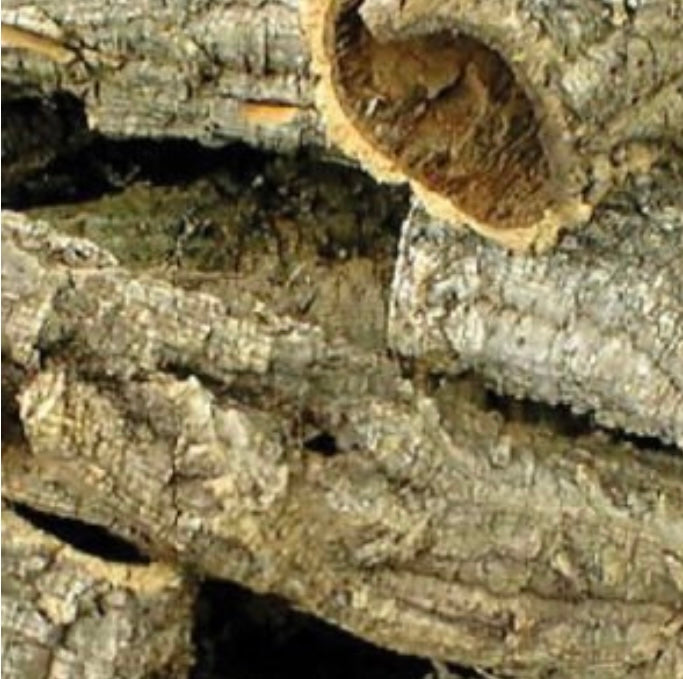 Cork Bark Tubes Bulk