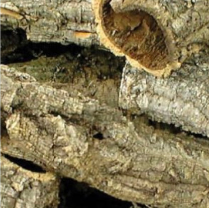 Cork Bark Tubes Bulk Amounts Bundles 1kg or 5kg Options Enrichment Reptiles Inverts Small Animals Natural